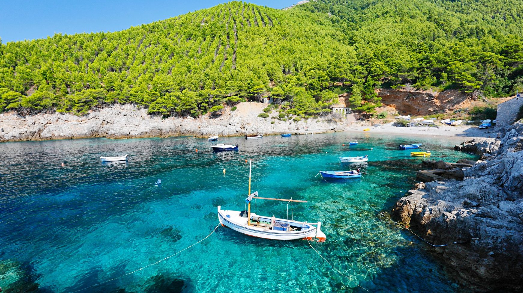 Hrvatska Malta: Mljet, ostrvo zmija, uvala i skrivenog blaga 1