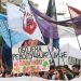 "I šta će sad studenti?": Pravni pogled na utvrđivanje odgovornosti za urušavanje nadstrešnice 1