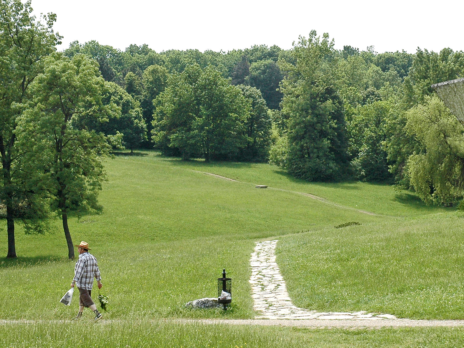 Iz Šumarica pravo u svetske baze naučnih podataka: U Srbiji otkrivena nova vrsta gljive 3 Iz Šumarica pravo u svetske baze naučnih podataka: U Srbiji otkrivena nova vrsta gljive 5