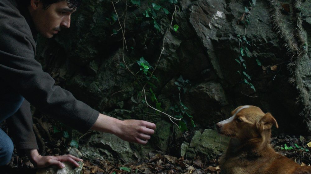 Flm „Vetre, pričaj sa mnom“ Stefana Đorđevića osvojio nagradu za najbolji međunarodni igrani film u Meksiku 1