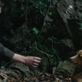 Flm „Vetre, pričaj sa mnom“ Stefana Đorđevića osvojio nagradu za najbolji međunarodni igrani film u Meksiku 5