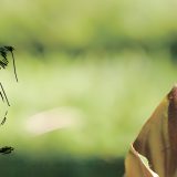 „Aritmologija oblika“: Samostalna izložba Dragana Jelenkovića u Legatu Milice Zorić i Rodoljuba Čolakovića 1