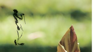 Muzej savremene umetnosti otvara vrata samostalne izložbe istaknutog umetnika Dragana Jelenkovića pod nazivom „Aritmologija oblika“.