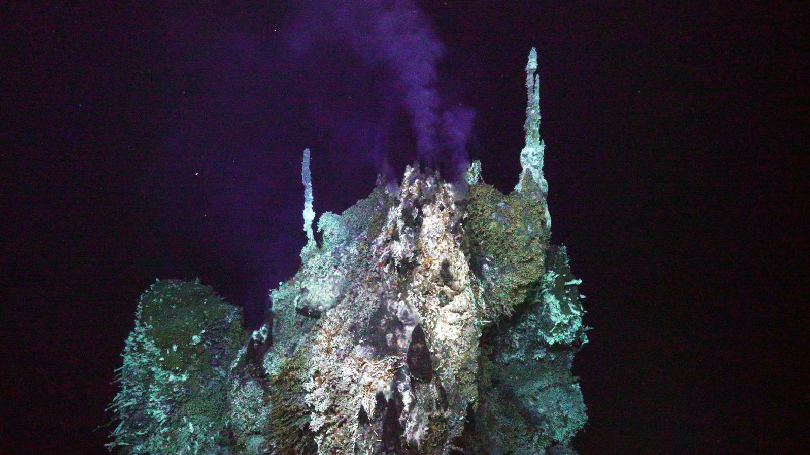 Neki podvodni vulkani bi uskoro mogli da eruptiraju - treba li da strahujemo 9 Aksijalni greben