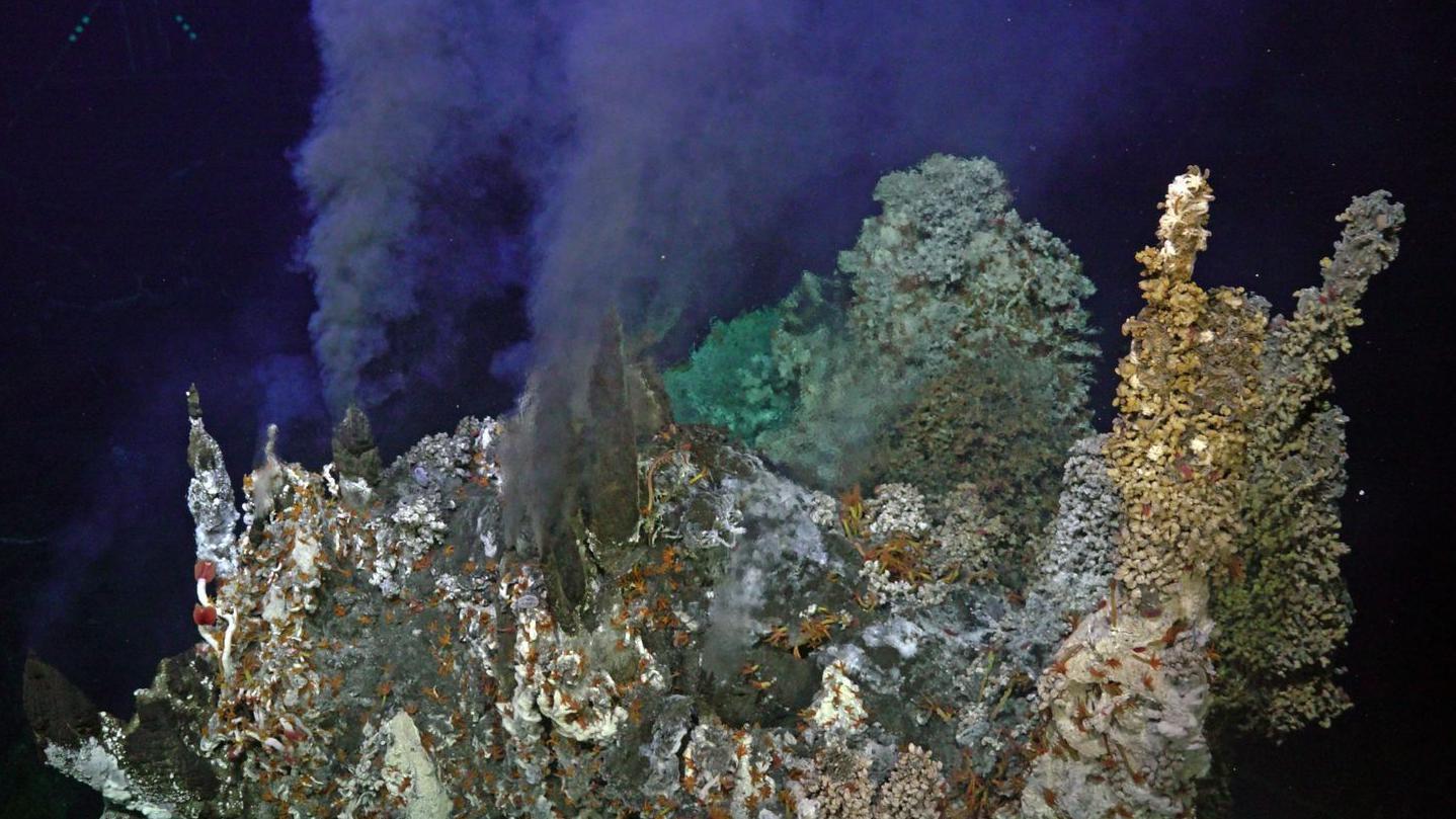 Neki podvodni vulkani bi uskoro mogli da eruptiraju - treba li da strahujemo 2 Aksijalni greben