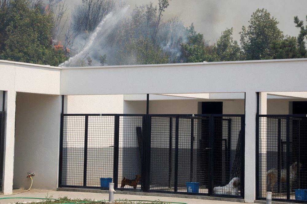 Dan žalosti u Crnoj Gori, nastavljena borba sa požarima 14 požar u crnoj gori