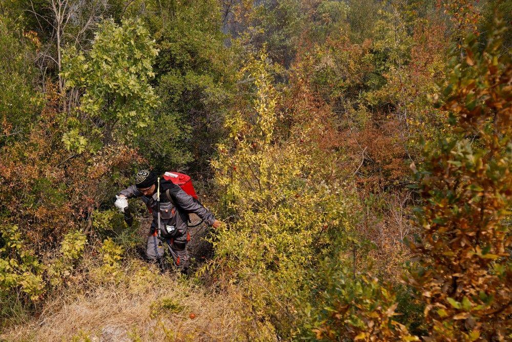 požari u Crnoj Gori