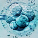 Svetski rekord: Beba rođena iz embriona zamrznutog pre 30 godina 3