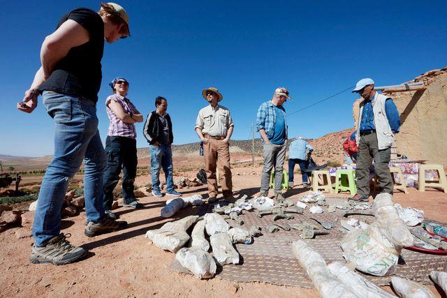 Šest naučnika stoje na suncu oko gomile belog kamenja na peščanoj površini u prvom planu. Iza njih je blistavo plavo nebo.