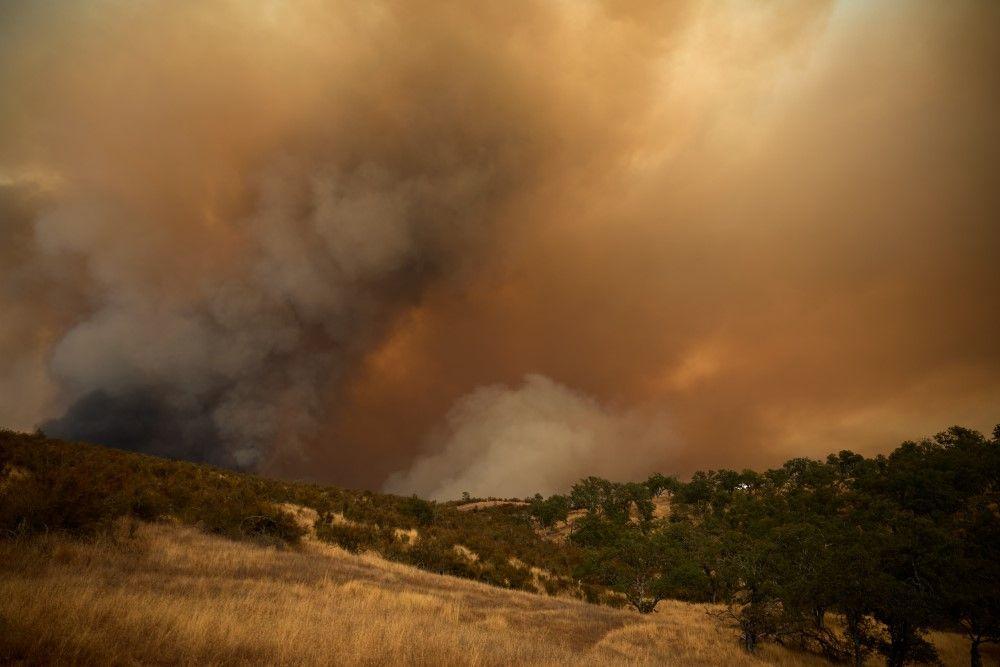 U požarima u Francuskoj izgorela površina veća od Pariza: 'Katastrofa' 5 požari u francuskoj