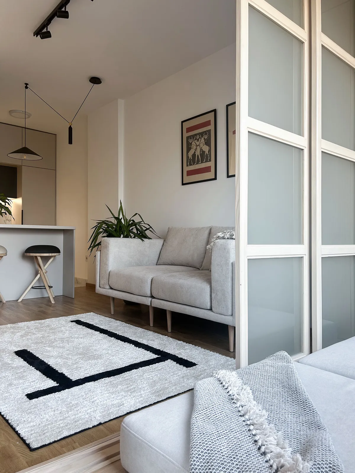 Pogledajte kako je mali stan u Novom Sadu pametnom reorganizacijom postao maksimalno funkcionalan 2