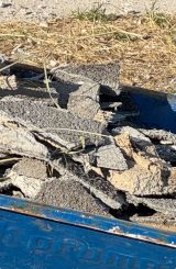 foto, klinika za onkologiju obrusen deo terase 3, foto podes Niški Klinički centar najavio krivičnu prijavu protiv dr Dragana Milića zbog objava o Onkologiji i bivšoj Klinici za plućne bolesti u Knez Selu 2