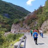 Stočari sa Suve planine, zajedno sa svojim žednim kravama i konjima, blokirali put od Bele Palanke ka Babušnici (VIDEO) 10