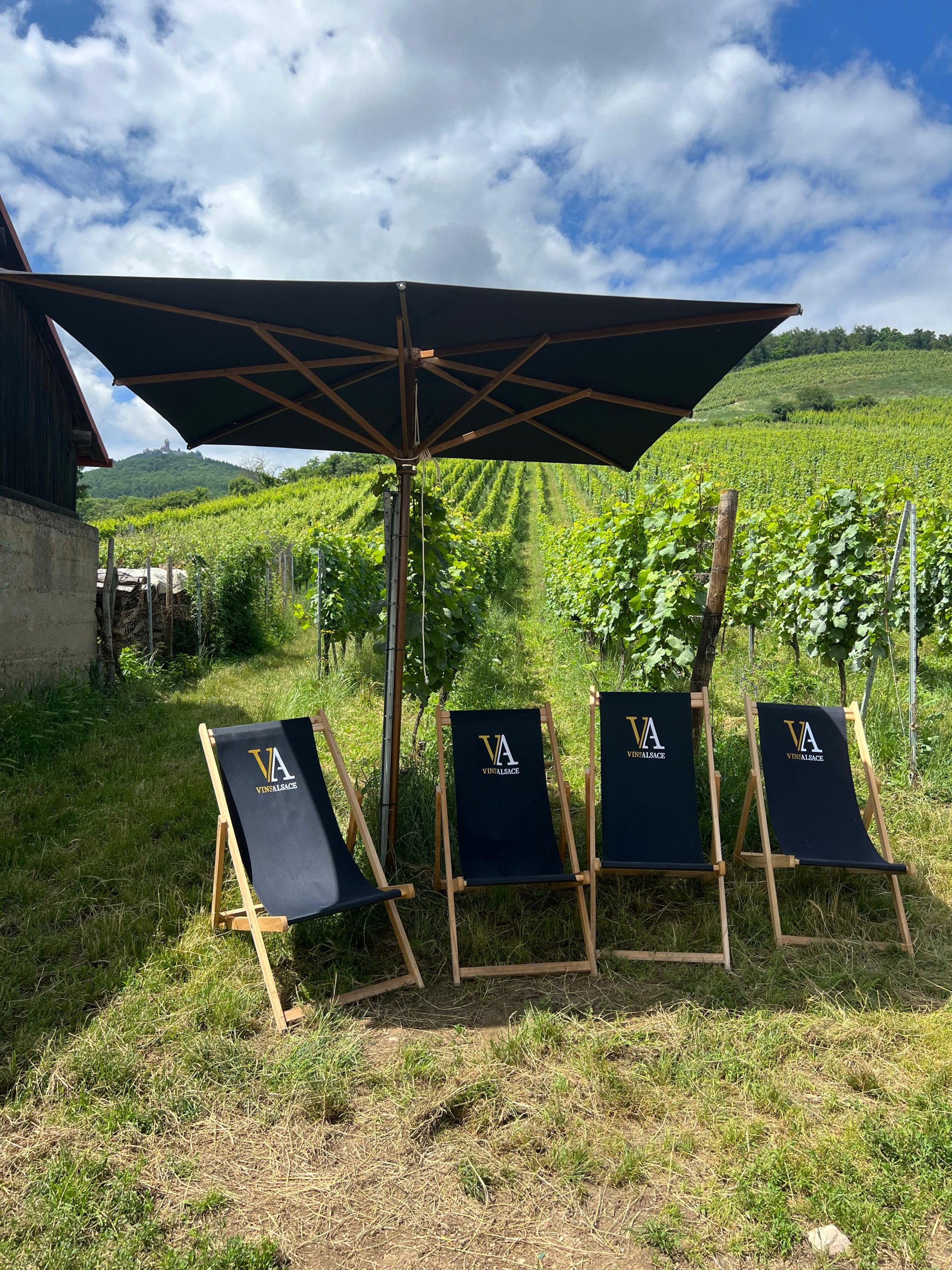 Veliki turistički vodič: Vinska avantura oko Strazbura: Biciklom kroz sela Alzasa 3