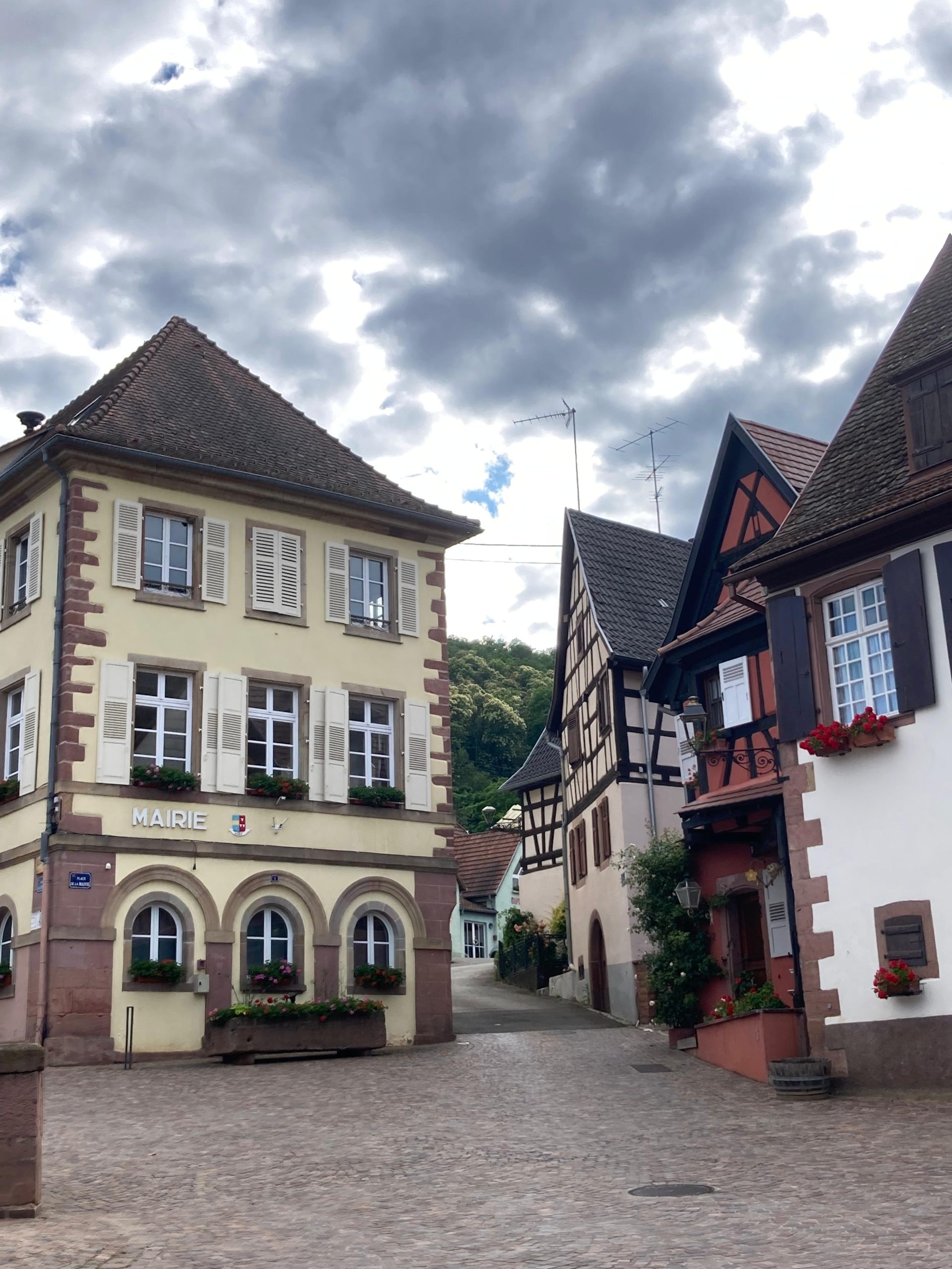 Veliki turistički vodič: Vinska avantura oko Strazbura: Biciklom kroz sela Alzasa 4