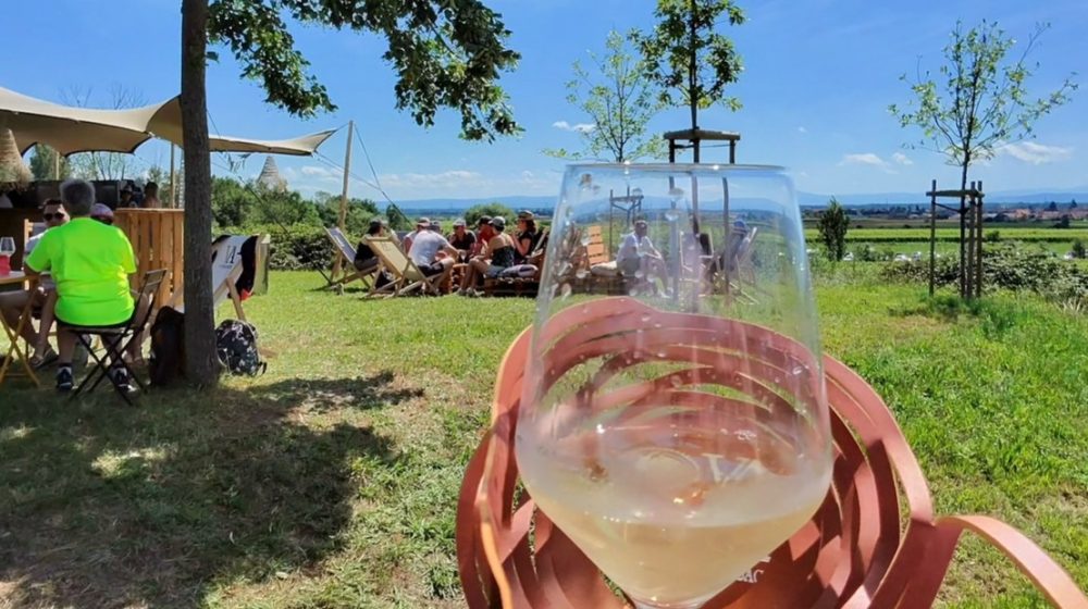 Veliki turistički vodič: Vinska avantura oko Strazbura: Biciklom kroz sela Alzasa 1