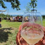 Veliki turistički vodič: Vinska avantura oko Strazbura: Biciklom kroz sela Alzasa 6