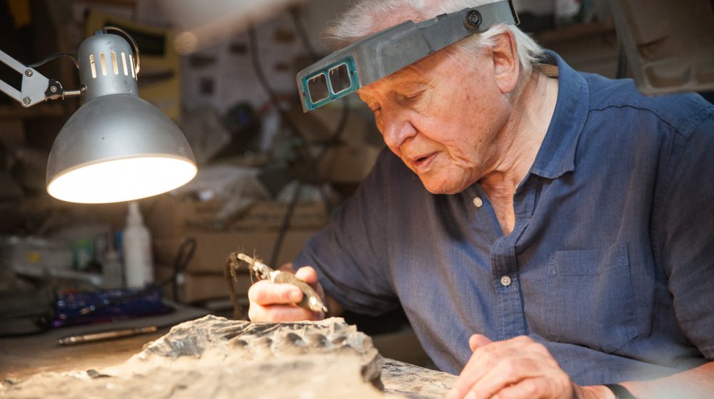 Ser Dejvid Atenboro: O sudbini planete odlučuju ljudi danas 1