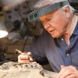 Ser Dejvid Atenboro: O sudbini planete odlučuju ljudi danas 1