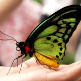 20 beskorisnih, ali fascinantnih činjenica: Od temperature munje do čoveka koji je zadržao dah 24 minuta 4