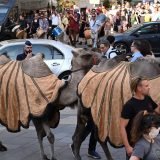 Kamile u Budimpešti za podizanje svesti o suši u Mađarskoj