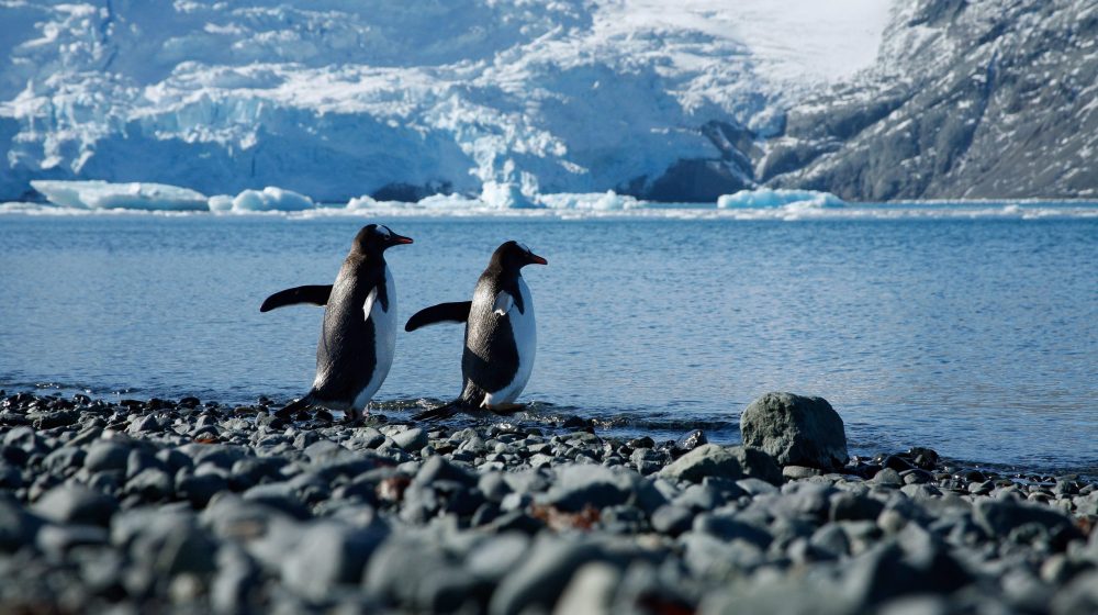 Naučnici upozoravaju da su na Antarktiku u toku nagle promene 1