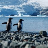 Naučnici upozoravaju da su na Antarktiku u toku nagle promene 1