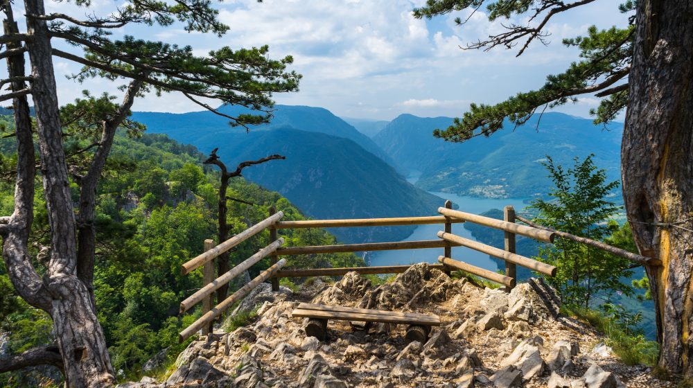 Sad ih je osam: I JP Nacionalni park Tara prelazi u DOO 1