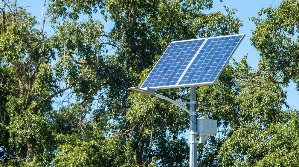 Solarno drveće: Da li je to nova šansa za razvoj solarne energije bez uništavanja šuma? 1