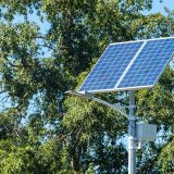 Solarno drveće: Da li je to nova šansa za razvoj solarne energije bez uništavanja šuma? 5