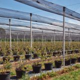 Mreže, rakete, top: Koja zaštita od grada je najefikasnija? 6