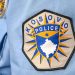 kosovska policija, policija Kosova