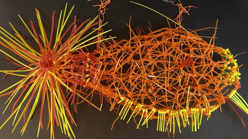 Izložba "Boje progresa" u Novom Sadu: Dijalog između umetnika iz Amerike i Srbije 1