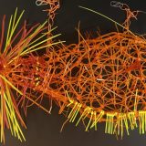 Izložba "Boje progresa" u Novom Sadu: Dijalog između umetnika iz Amerike i Srbije 4