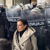 Marinika Tepić, autor SSP