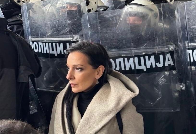 Marinika Tepić, autor SSP