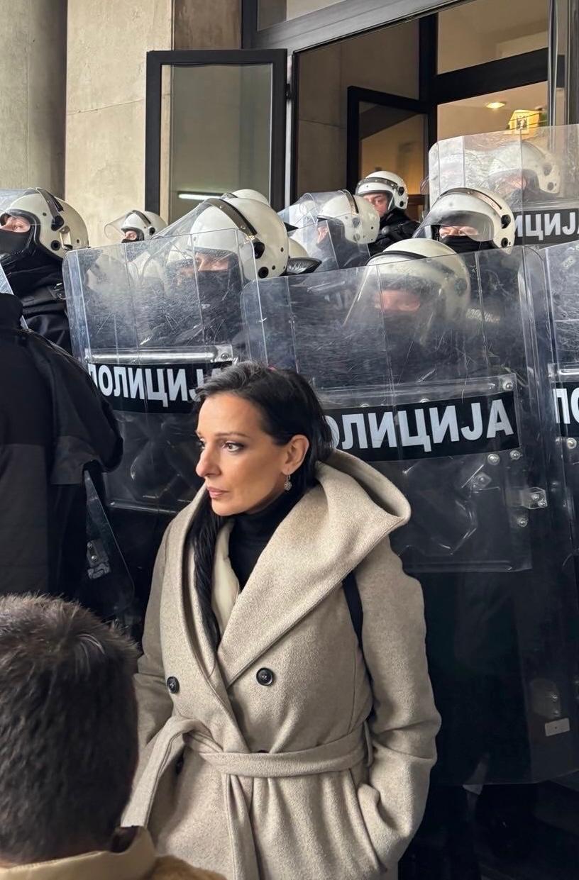 Marinika Tepić, autor SSP