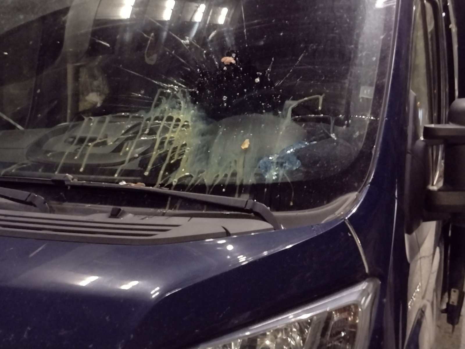 (VIDEO, FOTO) Protest "Večeras pucate po šavovima" širom Srbije: Neredi i incidenti u više gradova, policija rasterivala građane suzavcima, demolirane prostorije SNS u Novom Sadu 4