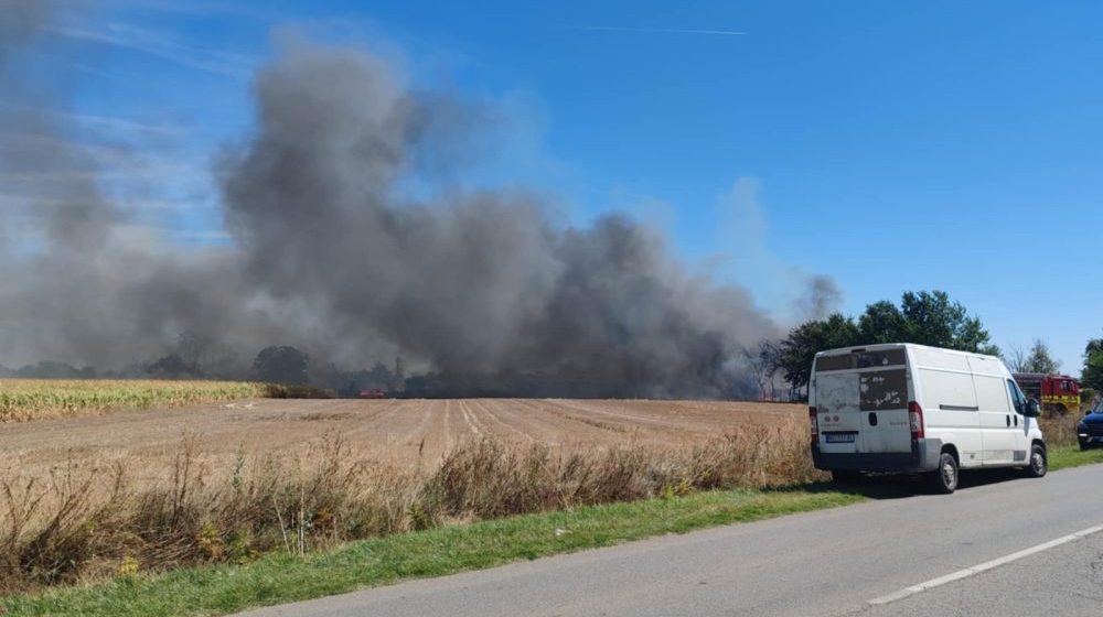 Lokalizovan požar između Kaća i Budisave kod Novog Sada, nema povređenih 1