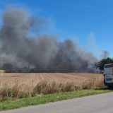 Lokalizovan požar između Kaća i Budisave kod Novog Sada, nema povređenih 7