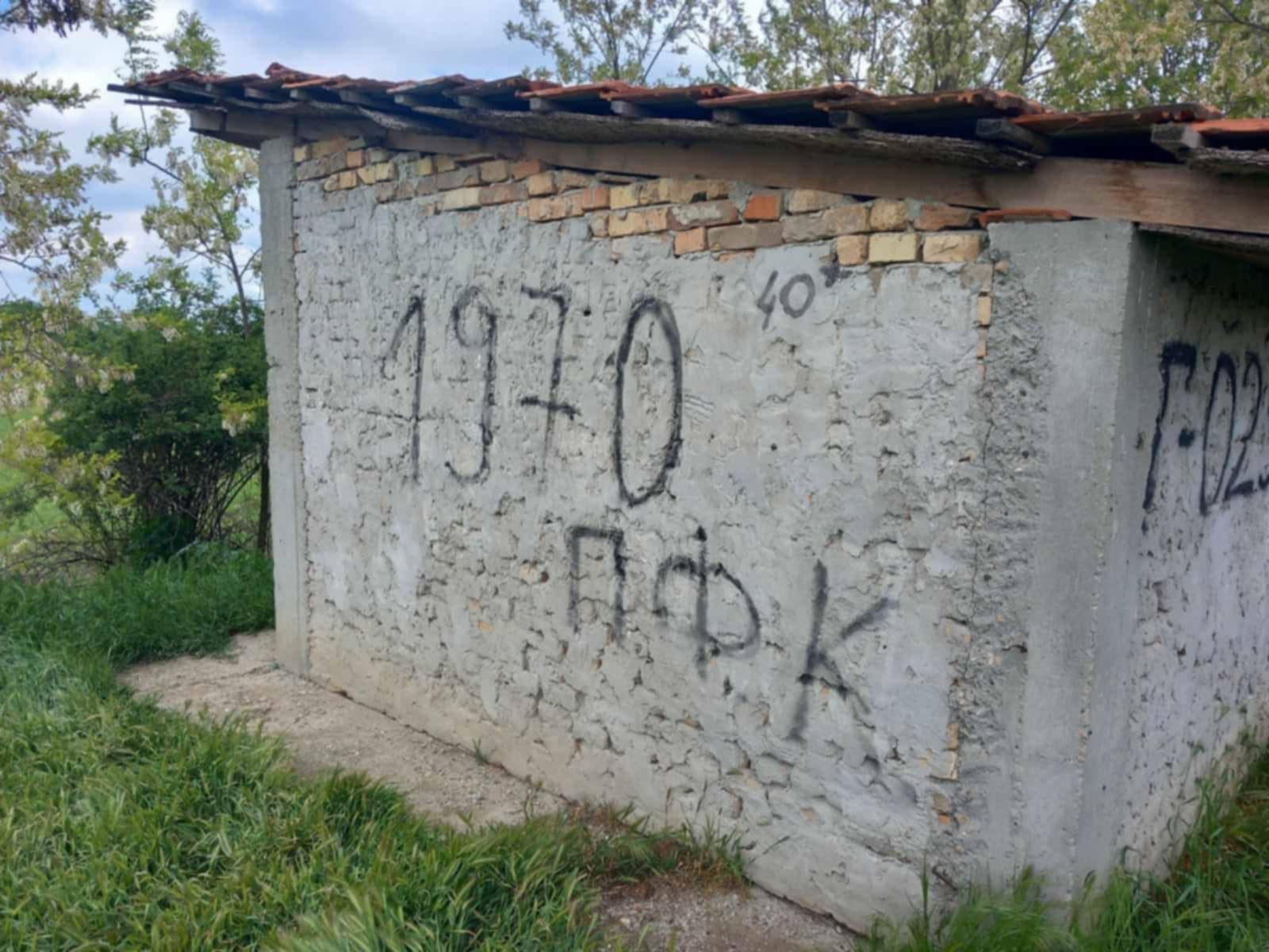 Uznemirujući prizor "karantina" za pse nadomak Novog Bečeja: Aktivisti i građani tvrde da nadležni ignorišu njihove apele 2 „karantin“ za pse nadomak Novog Bečeja