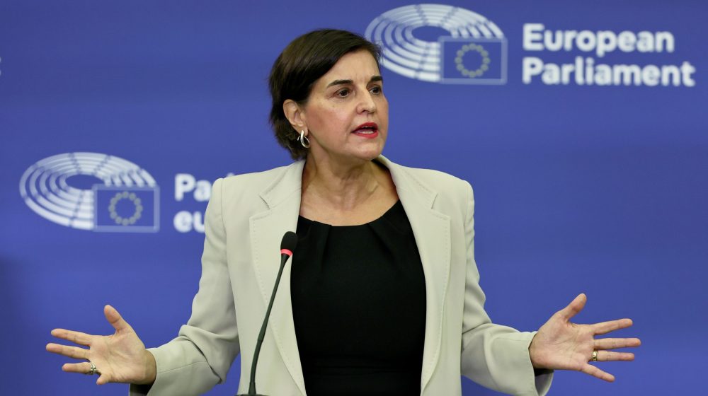 "Ponosni smo ako nas napadaju autokrate": Evropski zeleni podržali građane Srbije u odbrani demokratije 9