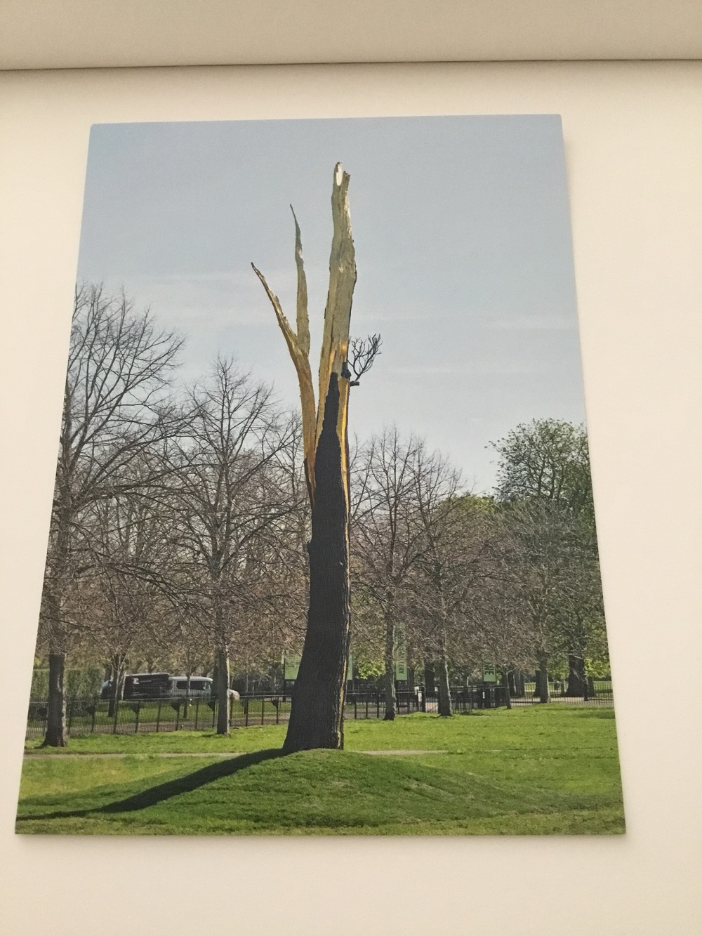 Izložba Đuzepea Penonea u Serpentine galeriji u Londonu 2 Izložba Đuzepea Penonea u Serpentine galeriji u Londonu 1