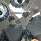 Presađivanje organa i postizanje besmrtnosti: Ima li nečega u razgovoru Sija Đinpinga i Putina 6