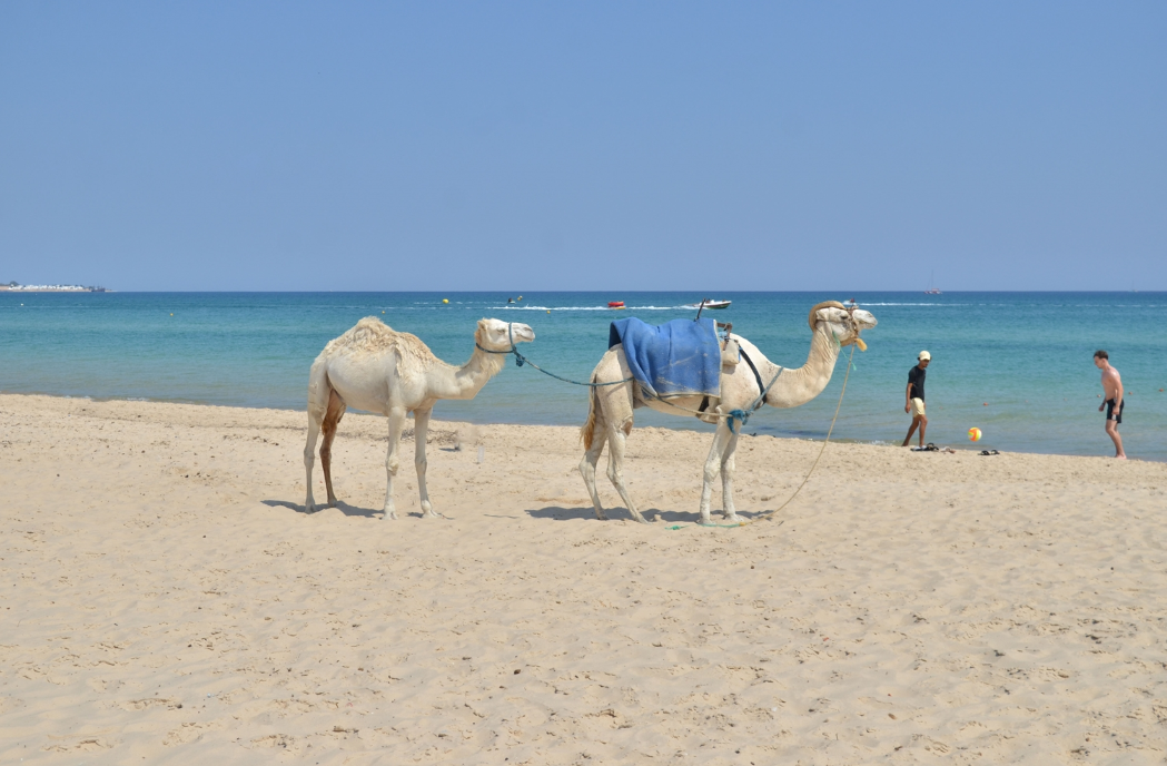 Tunis: Destinacija koja luksuz nudi na jednostavan način 3
