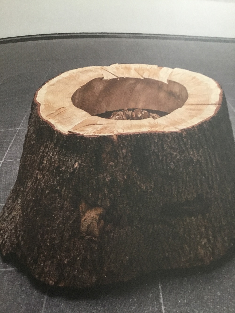 Izložba Đuzepea Penonea u Serpentine galeriji u Londonu 5 Izložba Đuzepea Penonea u Serpentine galeriji u Londonu 4