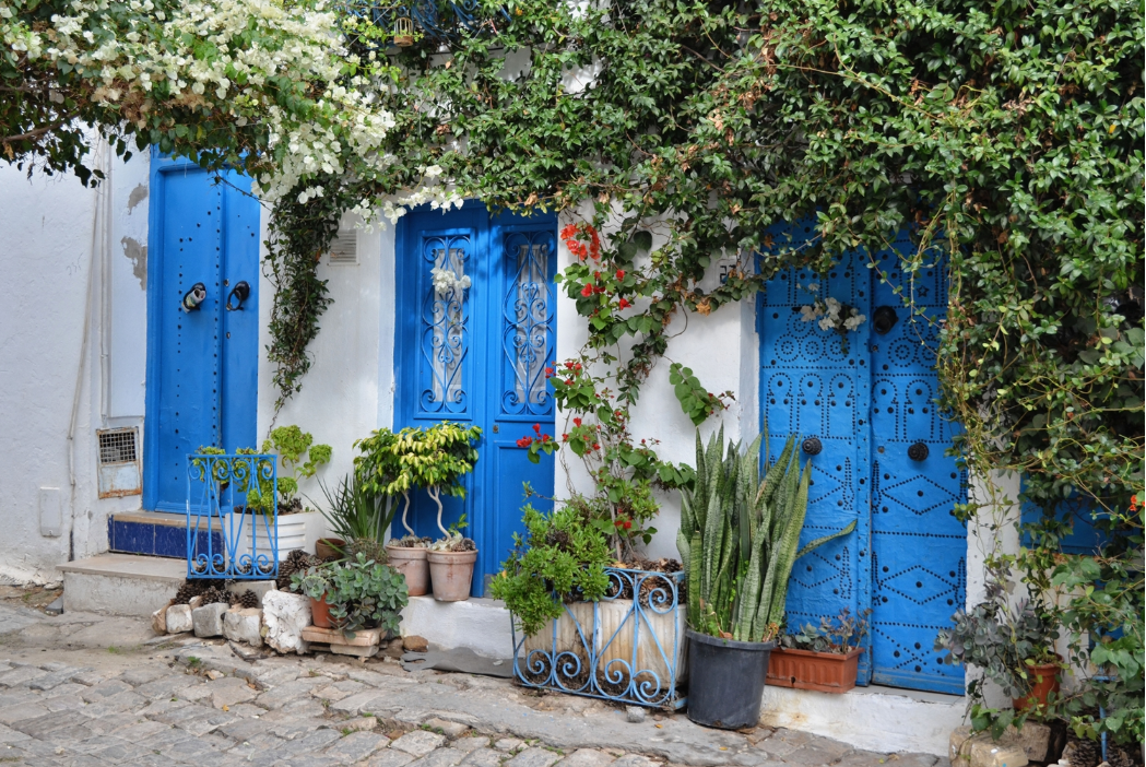 Tunis: Destinacija koja luksuz nudi na jednostavan način 4