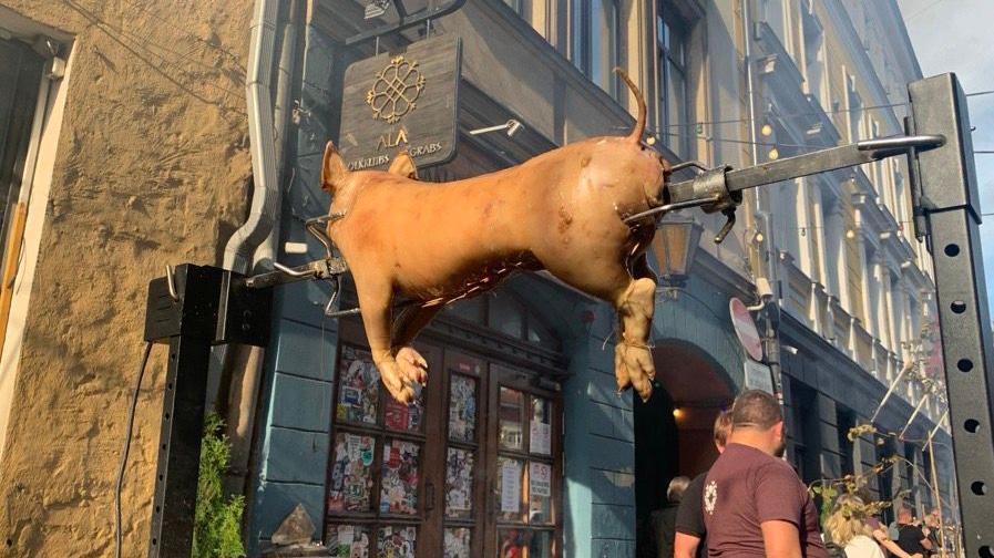 Prase se okreće u centru Rige