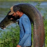 Luksuzne torbe od džinovske amazonske ribe: Ko zarađuje, a ko je na gubitku 5