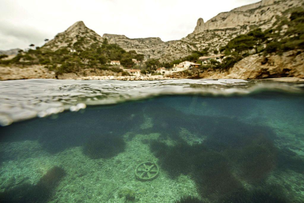 – Morske trave širom sveta se povlače zbog zagađenja koje potiče od ljudi i urbanizacije 